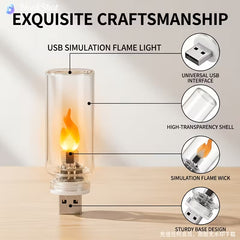 Touch-Sensitive Flame LED Glass Bottle Lamp Frosted & Transparent - USB-Powered Night Light 2 Pcs Set