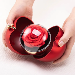 Special Apple Shape Red Rose Ring Gift Box